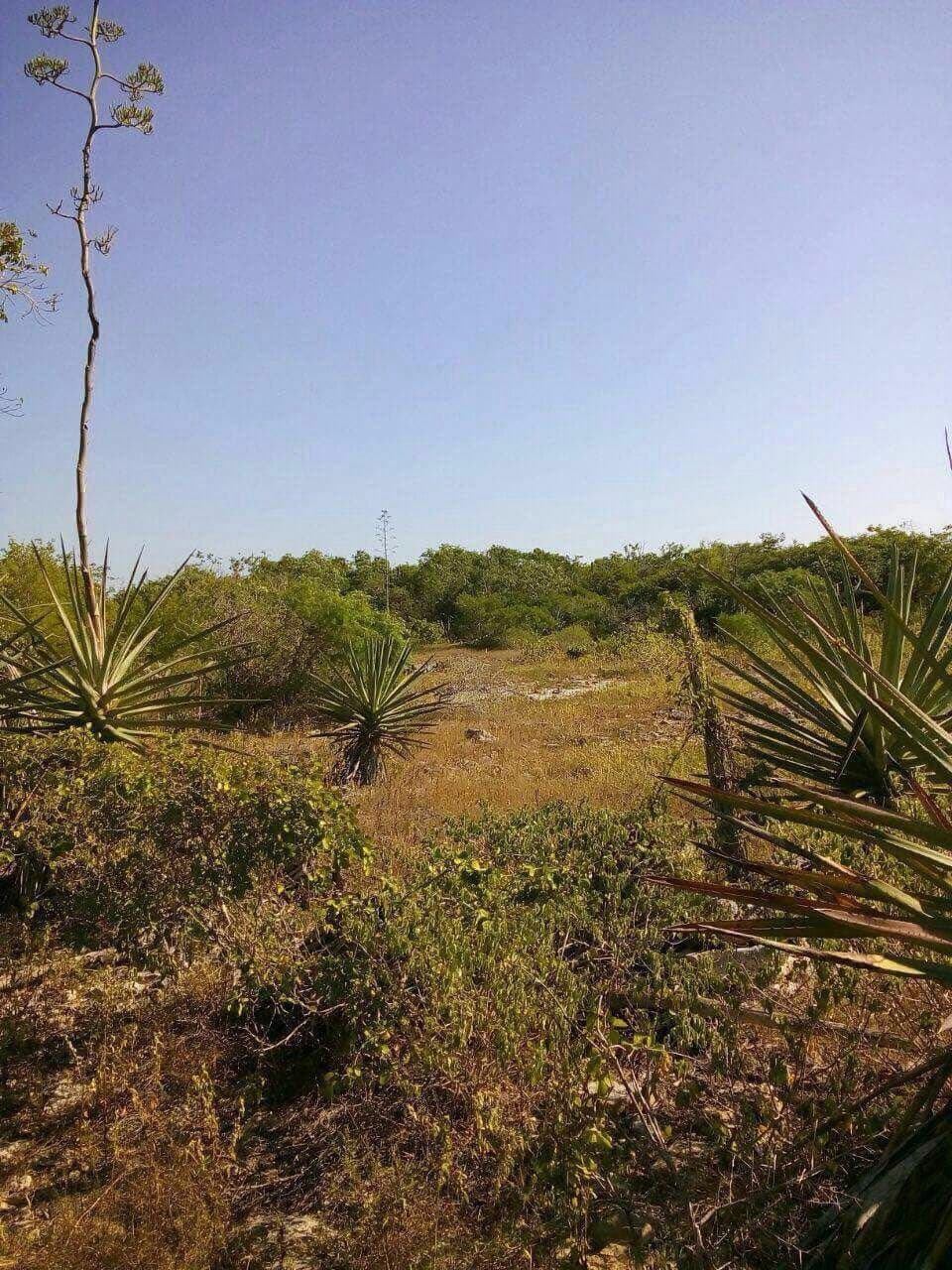 Espectacular Rancho con excelente ubicación a 10 kilómetros de la Playa