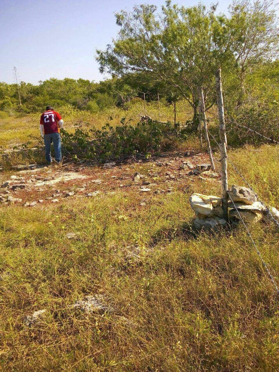 <p>El rancho tiene 100 hectáreas de las cuales mecanizadas el 50% para poder tener 120 cabezas de ganado. Cuenta con un Cenote a flor de tierra muy grande de unos 80 metros de diámetro. Tiene 6 cerros y restos de una pirámide. El 80% es pasto (zacate) y el otro 20% es monte alto. Tiene muchas palmas y vegetación hermosa. El rancho cuenta con corral de piedras o albarradas de una extensión de 80 por 60. Tiene un corral de madera de 30 x 50. Casa de trabajador, bodega y la casa principal con dos recámaras, servicio de baño, cocina. En la parte de arriba de la casa tiene un depósito de agua redondo con capacidad de 75,000 litros de agua que es alimentado por la veleta. Tiene dos caminos de acceso. Uno que comparte con dos ranchos (derecho de paso) y el otro es propio. Está a dos 2.7 kilómetros de la carretera principal que va de Tizimín a Río Lagartos. Está a 8 kilometros de Río Lagartos por lo que puede funcionar perfectamente para un proyecto Ecoturístico o también para practicar la ganadería. Propiedad Privada.</p>
