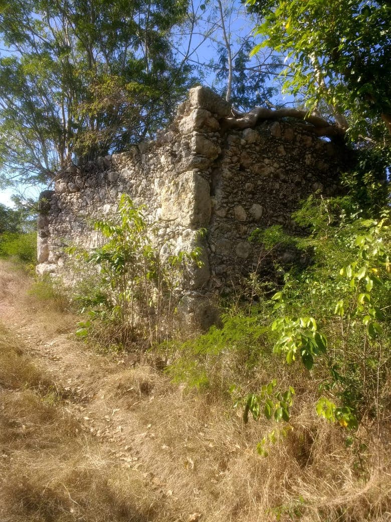 <p>El rancho tiene 100 hectáreas de las cuales mecanizadas el 50% para poder tener 120 cabezas de ganado. Cuenta con un Cenote a flor de tierra muy grande de unos 80 metros de diámetro. Tiene 6 cerros y restos de una pirámide. El 80% es pasto (zacate) y el otro 20% es monte alto. Tiene muchas palmas y vegetación hermosa. El rancho cuenta con corral de piedras o albarradas de una extensión de 80 por 60. Tiene un corral de madera de 30 x 50. Casa de trabajador, bodega y la casa principal con dos recámaras, servicio de baño, cocina. En la parte de arriba de la casa tiene un depósito de agua redondo con capacidad de 75,000 litros de agua que es alimentado por la veleta. Tiene dos caminos de acceso. Uno que comparte con dos ranchos (derecho de paso) y el otro es propio. Está a dos 2.7 kilómetros de la carretera principal que va de Tizimín a Río Lagartos. Está a 8 kilometros de Río Lagartos por lo que puede funcionar perfectamente para un proyecto Ecoturístico o también para practicar la ganadería. Propiedad Privada.</p>