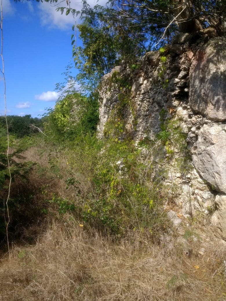 <p>El rancho tiene 100 hectáreas de las cuales mecanizadas el 50% para poder tener 120 cabezas de ganado. Cuenta con un Cenote a flor de tierra muy grande de unos 80 metros de diámetro. Tiene 6 cerros y restos de una pirámide. El 80% es pasto (zacate) y el otro 20% es monte alto. Tiene muchas palmas y vegetación hermosa. El rancho cuenta con corral de piedras o albarradas de una extensión de 80 por 60. Tiene un corral de madera de 30 x 50. Casa de trabajador, bodega y la casa principal con dos recámaras, servicio de baño, cocina. En la parte de arriba de la casa tiene un depósito de agua redondo con capacidad de 75,000 litros de agua que es alimentado por la veleta. Tiene dos caminos de acceso. Uno que comparte con dos ranchos (derecho de paso) y el otro es propio. Está a dos 2.7 kilómetros de la carretera principal que va de Tizimín a Río Lagartos. Está a 8 kilometros de Río Lagartos por lo que puede funcionar perfectamente para un proyecto Ecoturístico o también para practicar la ganadería. Propiedad Privada.</p>