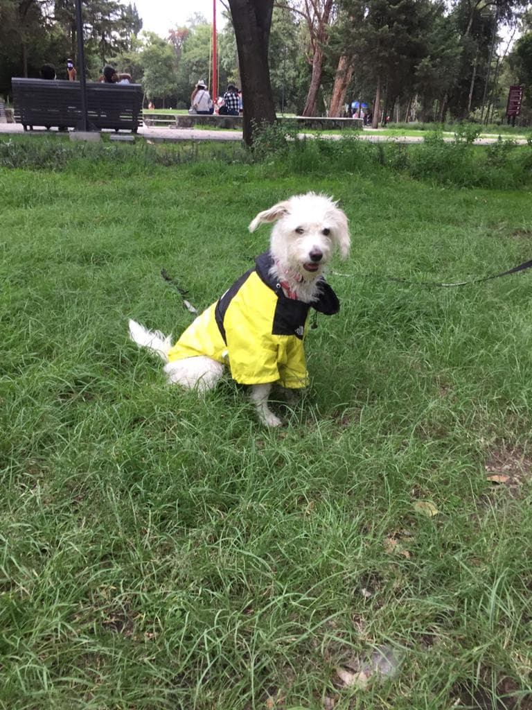 <p>excelente departamento hubicado en la zona de ....</p>