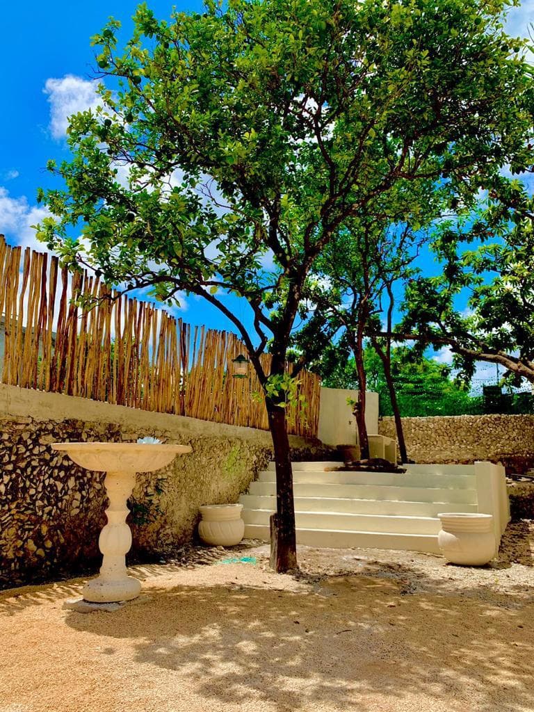 <p>Totalmente remodelada y climatizada, CASA AZUL se encuentra en el corazón del Centro de Mérida, Yucatán. Rodeada de encantadoras casas coloniales de la misma época, esta propiedad está ubicada en una calle tranquila y poco transitada, a solo 300 metros del Paseo Montejo y muy cerca del hotel Hyatt. Es una combinación perfecta de historia, modernidad, naturaleza y relajación. </p><p><br></p><p><strong>Características de la Propiedad: </strong></p><p>• Comedor y Cocina: </p><p>o Comedor: 6 x 6.5 metros </p><p>o Cocina: 6.5 x 2.5 metros </p><p>o Ambos espacios son amplios, con vista panorámica a los jardines y doble altura con iluminación indirecta, ideal para vivir o para negocio Airbnb. </p><p><br></p><p><strong>• Jardines y Áreas Exteriores: </strong></p><p><br></p><p>o Jardín interior con árboles frutales (mamey, huaya, aguacate, naranjos) </p><p>o Piscina (7 x 3.5 metros) con acabados Chukum y asoleaderos </p><p>o Bar en el interior de la piscina con bancos y columpios rústicos en la barra exterior </p><p><br></p><p><strong>• Baños: </strong></p><p>o Dos baños completos con regadera </p><p>o Baño principal: 7.5 metros de largo con doble lavabo, doble regadera y tina para dos personas </p><p><br></p><p><strong>• Habitaciones y Espacios Interiores: </strong></p><p>o Sala principal: 5 x 4.5 metros </p><p>o Dos amplias habitaciones: 5 x 4.5 metros, ambas con closets </p><p>o Estudio ideal para biblioteca o home office </p><p><br></p><p><strong>• Instalaciones Nuevas: </strong></p><p>o Instalación eléctrica, hidráulica y sanitaria </p><p>o Aires acondicionados nuevos </p><p>o Agua potable y pozo para llenado de la alberca </p><p>o Sistema presurizador de agua </p><p>o Puerta exterior y ventana de madera de cedro nuevas </p><p><br></p><p><strong>Terreno: </strong></p><p>• Dimensiones: 10 metros de frente por 39 metros de fondo </p><p>• Documentación en regla, lista para entregar </p><p><br></p><p><strong>Potencial de Expansión: </strong></p><p>• Cimientos al fondo de la propiedad para construir dos habitaciones de 5 x 3.5 metros </p><p>Sus espacios de relajación están diseñados para brindar confort, bienestar y frescura en armonía con la naturaleza. CASA AZUL es una oportunidad única para vivir en un lugar que combina lo mejor del pasado y del presente en un entorno sereno y privilegiado.</p>